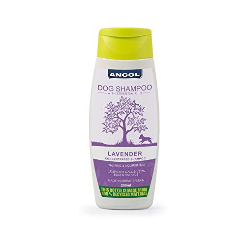 Ancol Lavendel Hundeshampoo, 200 ml, 1er Pack (1 x 1 Stück) von Ancol