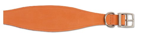 Ancol Leder-Whippet-Hundehalsband, gerbtes Zaumzeug, Leder, langlebig, bequem, Trainingszubehör mit Stabiler Schnalle und D-Ring, 30–34 cm von Ancol
