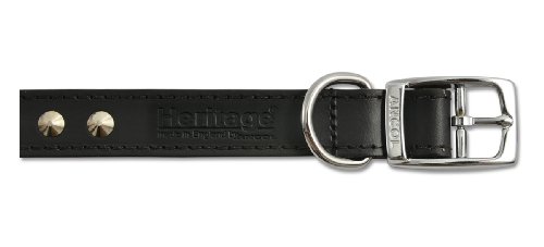 Ancol Bequemes stilvolles Lederhalsband, mit Nieten, Trainingszubehör, 55–63 cm, Größe 8, Schwarz Ancol Bequemes stilvolles Lederhalsband, mit Nieten, Trainingszubehör, 55–63 cm, Größe 8, Schwarz von Ancol