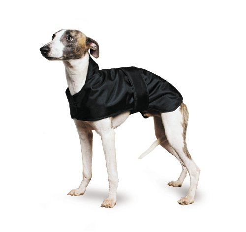 Ancol Muddy Paws Greyhound-Whippet-Mantel, Größe M (43 cm), Schwarz von Ancol