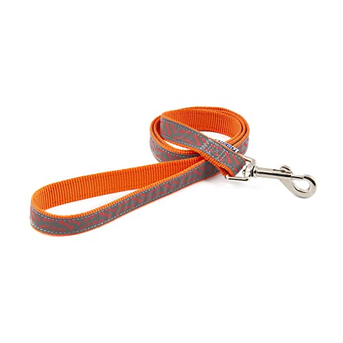 Ancol Patterned Collection Hundeleine, Knochen, reflektierend, Nylon, für Welpen, wetterfest, langlebig, 1 m lang, 19 mm breit, Orange Ancol Patterned Collection Hundeleine, Knochen, reflektierend, Nylon, für Welpen, wetterfest, langlebig, 1 m lang, 19 mm breit, Orange von Ancol