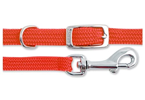 Ancol Small Bite Hundehalsband, weich, verstellbar 20–30 cm, mit Leine, 1 m x 10 mm, Rot von Ancol