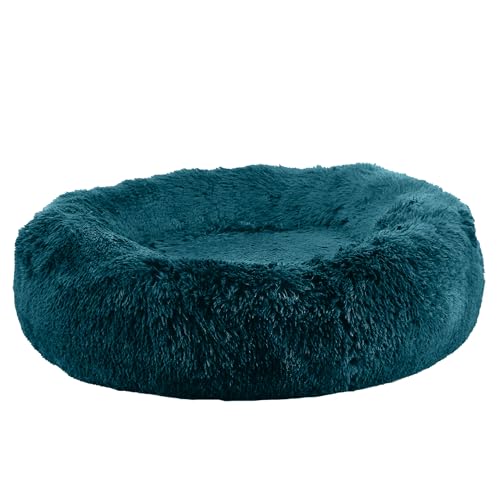 Ancol Superplüschiges Donut-Hundebett in Blaugrün – Bequeme Kuschelunterlage für drinnen mit erhöhtem Rand – gemütliche Welpenmatte zum Schlafen – 100 cm Ancol Superplüschiges Donut-Hundebett in Blaugrün – Bequeme Kuschelunterlage für drinnen mit erhöhtem Rand – gemütliche Welpenmatte zum Schlafen – 100 cm von Ancol