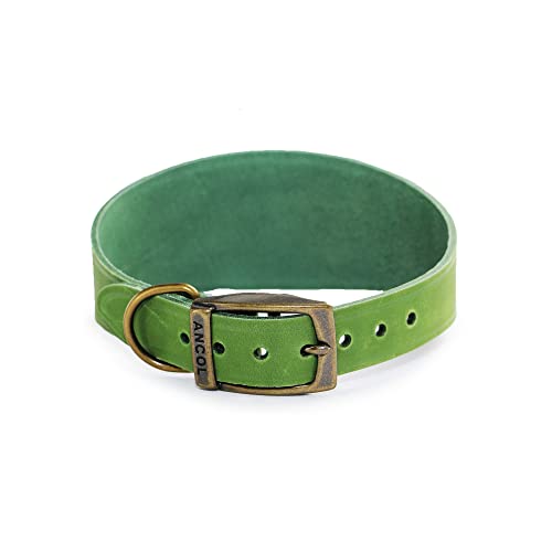 Ancol Timberwolf Whippet Lederhalsband, grün, 30-34 cm von Ancol