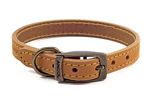 Ancol Timberwolf Hundehalsband, bequem, langlebig, Leder, Senffarben, 39–48 cm, Größe 5 Ancol Timberwolf Hundehalsband, bequem, langlebig, Leder, Senffarben, 39–48 cm, Größe 5 von Ancol
