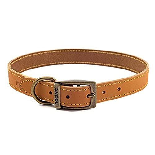 Ancol Timberwolf Hundehalsband, Leder, 55-63 cm, senffarben von Ancol