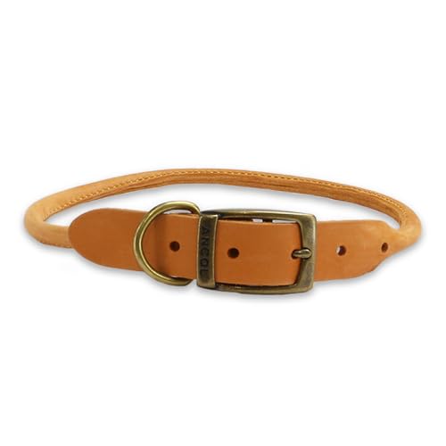 Ancol Timberwolf Hundehalsband aus Leder, rund, robust, weiche Schnalle, 35 bis 43 cm, Senfgelb, Größe 4 Ancol Timberwolf Hundehalsband aus Leder, rund, robust, weiche Schnalle, 35 bis 43 cm, Senfgelb, Größe 4 von Ancol