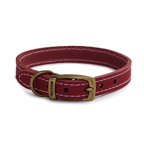 Ancol Timberwolf Premium-Leder-Hundehalsband – bequemes, langlebiges Haustier-Trainingszubehör – Himbeer-Zaumleder – weich, geschmeidig, wasserdicht behandelt – 20–26 cm, Größe 1 Ancol Timberwolf Premium-Leder-Hundehalsband – bequemes, langlebiges Haustier-Trainingszubehör – Himbeer-Zaumleder – weich, geschmeidig, wasserdicht behandelt – 20–26 cm, Größe 1 von Ancol