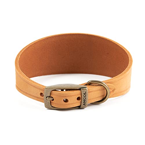 Ancol Timberwolf Whippet-Halsband, Leder, senffarben für Halsumfang 30–34 cm Ancol Timberwolf Whippet-Halsband, Leder, senffarben für Halsumfang 30–34 cm von Ancol