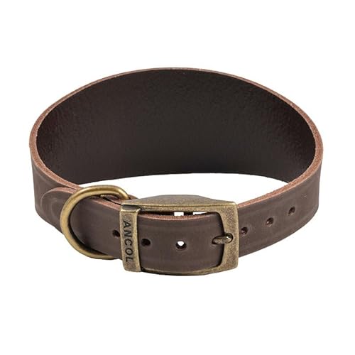 Ancol Timberwolf Lederhalsband für Halsumfang von 30–34 cm von Ancol