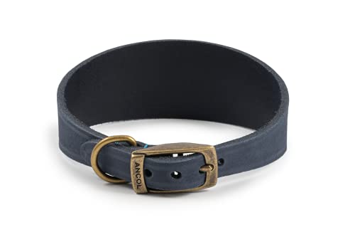 Ancol Timberwolf Whippet Hundehalsband, Leder, für Halsumfang von 30-34 cm, Blau von Ancol