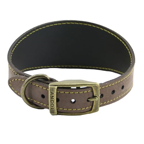 Ancol Timberwolf Windhund-Halsband, Leder, braun, passend für Halsumfang von 34-43 cm von Ancol