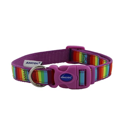 Ancol Verstellbares Hundehalsband mit Regenbogen-Muster, passend für Halsumfang von 30–50 cm, Größe 2–5 Ancol Verstellbares Hundehalsband mit Regenbogen-Muster, passend für Halsumfang von 30–50 cm, Größe 2–5 von Ancol