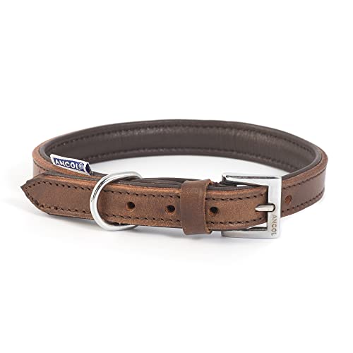 Ancol Strapazierfähiges Vintage-Halsband, gepolstert, Leder, Kastanienbraun, Haustier-Trainingszubehör, 39–48 cm, Größe 5 Ancol Strapazierfähiges Vintage-Halsband, gepolstert, Leder, Kastanienbraun, Haustier-Trainingszubehör, 39–48 cm, Größe 5 von Ancol