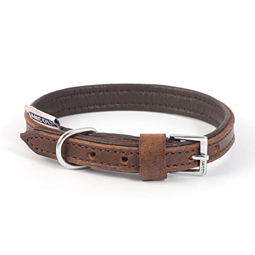 Ancol Vintage Leder Gepolsterter Kragen Kastanie Ancol Vintage Leder Gepolsterter Kragen Kastanie von Ancol