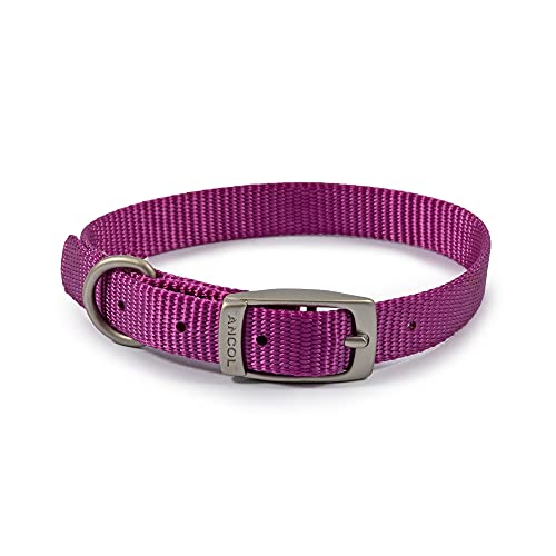 Ancol Viva Leichtes Halsband mit Schnalle, Größe 1, passend für 20-26 cm, wetterfest Ancol Viva Leichtes Halsband mit Schnalle, Größe 1, passend für 20-26 cm, wetterfest von Ancol