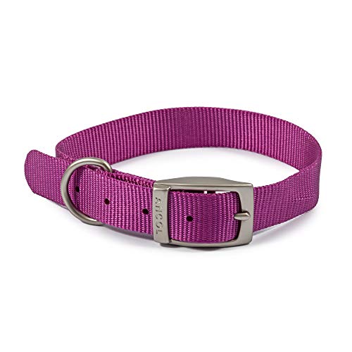 Ancol Viva Leichter Schnallenhalsband, Violett, Halsbandgröße 3, passend für 28–36 cm, wetterfest Ancol Viva Leichter Schnallenhalsband, Violett, Halsbandgröße 3, passend für 28–36 cm, wetterfest von Ancol