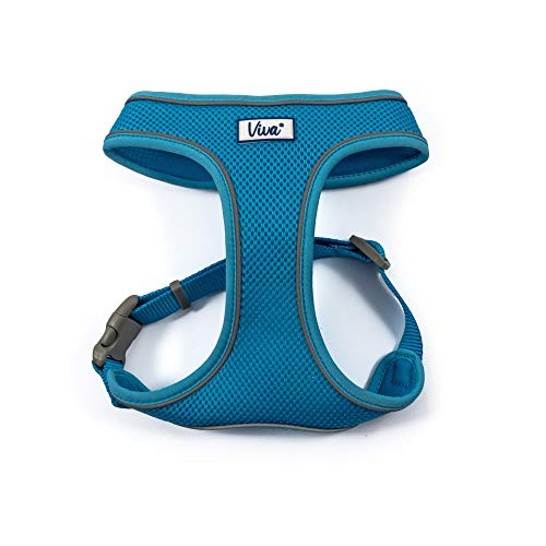 Ancol Viva Hundegeschirr, Netzgewebe, Größe M (passend für einen Umfang von 44–57 cm), Blau Ancol Viva Hundegeschirr, Netzgewebe, Größe M (passend für einen Umfang von 44–57 cm), Blau von Ancol