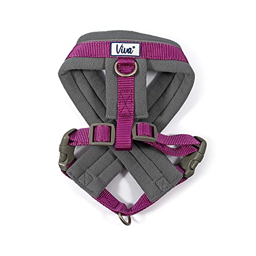 Ancol Viva Hundegeschirr, gepolstert, Größe M, 41-53 cm, Violett Ancol Viva Hundegeschirr, gepolstert, Größe M, 41-53 cm, Violett von Ancol