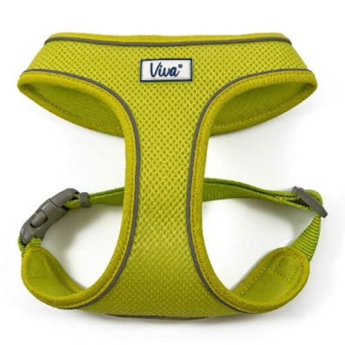 Ancol Viva Hundegeschirr, leicht, atmungsaktiv, Komfort-Mesh, Größe M, für Umfang 44-57 cm von Ancol