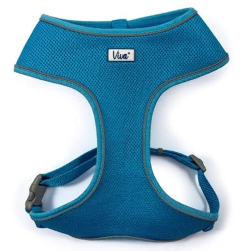 Ancol Viva Hundegeschirr, bequem, reflektierend, atmungsaktiv, Netzgewebe, 53-74 cm, Größe L, Blau Ancol Viva Hundegeschirr, bequem, reflektierend, atmungsaktiv, Netzgewebe, 53-74 cm, Größe L, Blau von Ancol