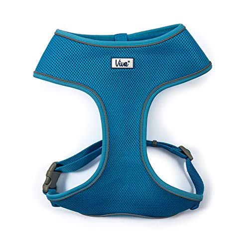 Ancol Viva Hundegeschirr, bequem, reflektierend, atmungsaktiv, Netzgewebe, 34–45 cm, Größe S, Blau Ancol Viva Hundegeschirr, bequem, reflektierend, atmungsaktiv, Netzgewebe, 34–45 cm, Größe S, Blau von Ancol