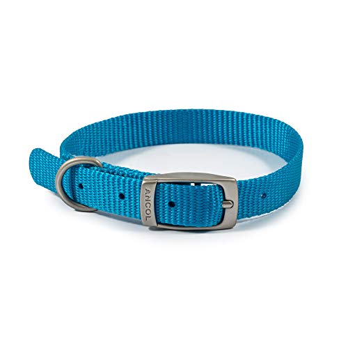 Ancol Viva Hundehalsband, leicht, wetterfest, sicher, mit Schnalle, Haustier-Trainingszubehör, 20–26 cm, Größe 1, Blau Ancol Viva Hundehalsband, leicht, wetterfest, sicher, mit Schnalle, Haustier-Trainingszubehör, 20–26 cm, Größe 1, Blau von Ancol