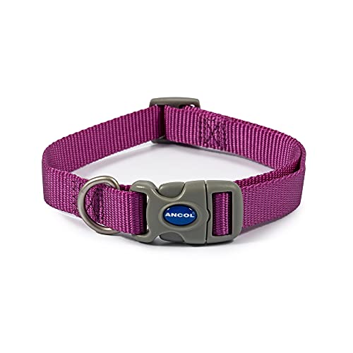 Ancol Viva Quick Fit Hundehalsband, verstellbar, strapazierfähig, wetterfest, Polygewebe, 30–50 cm, Größe 2–5, Violett von Ancol