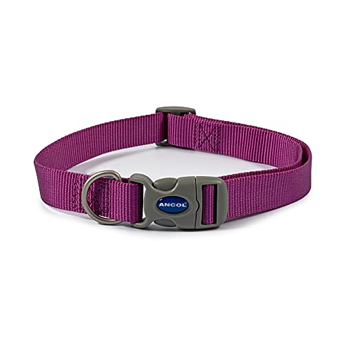 Ancol Viva Halsband, verstellbar, Violett, Größe 38-42, für 45-70 cm Wetterfest. Ancol Viva Halsband, verstellbar, Violett, Größe 38-42, für 45-70 cm Wetterfest. von Ancol