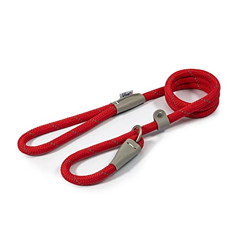 Ancol Viva Retrieverleine, reflektierendes Seil und Echtleder, 120 x 1,2 cm, rot Ancol Viva Retrieverleine, reflektierendes Seil und Echtleder, 120 x 1,2 cm, rot von Ancol