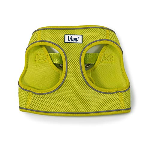 Ancol Viva Step-In Comfort Hundegeschirr, Größe L, für 54-60 cm, Limettengrün Ancol Viva Step-In Comfort Hundegeschirr, Größe L, für 54-60 cm, Limettengrün von Ancol