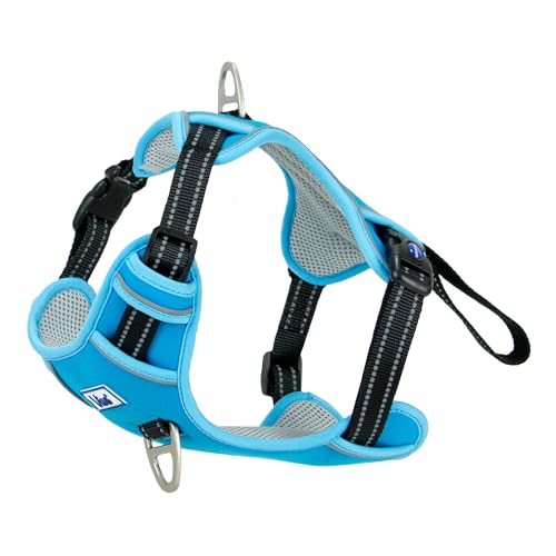 Ancol Viva Trainings- und Reise-Hundegeschirr, bequemes Haustierzubehör mit gepolsterter Brust und 2 Leinenclips, Größe L, 60–85 cm, Blau Ancol Viva Trainings- und Reise-Hundegeschirr, bequemes Haustierzubehör mit gepolsterter Brust und 2 Leinenclips, Größe L, 60–85 cm, Blau von Ancol