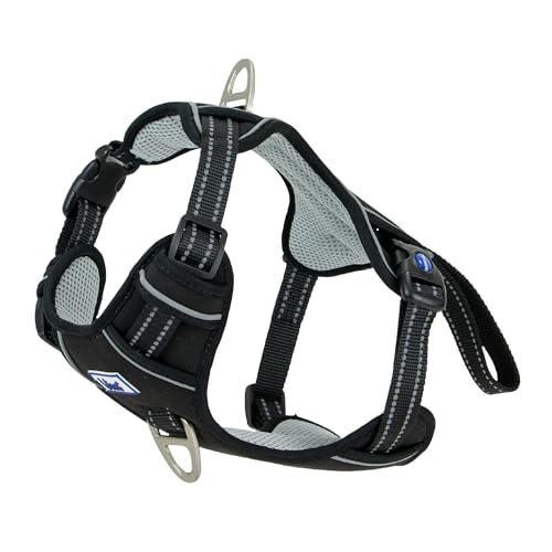 Ancol Viva Trainings- und Reise-Hundegeschirr, bequemes Haustierzubehör mit gepolsterter Brust und 2 Leinenclips, Größe S, 35–45 cm, Schwarz Ancol Viva Trainings- und Reise-Hundegeschirr, bequemes Haustierzubehör mit gepolsterter Brust und 2 Leinenclips, Größe S, 35–45 cm, Schwarz von Ancol