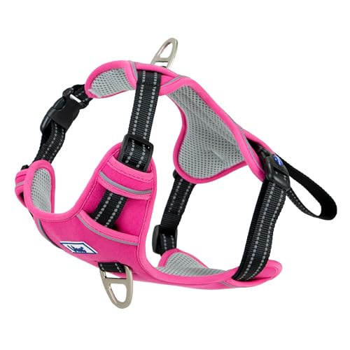 Ancol Viva Übungs- und Reise-Hundegeschirr, bequemes Haustierzubehör mit gepolsterter Brust und 2 Leinenclips, Größe M, 45–65 cm, Rosa Ancol Viva Übungs- und Reise-Hundegeschirr, bequemes Haustierzubehör mit gepolsterter Brust und 2 Leinenclips, Größe M, 45–65 cm, Rosa von Ancol