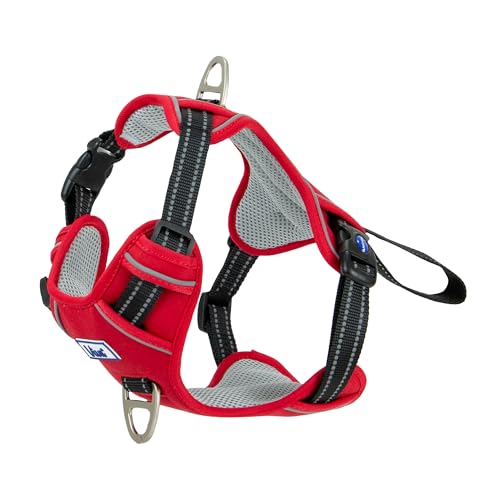 Ancol Viva Übungs- und Reise-Hundegeschirr, bequemes Haustierzubehör mit gepolsterter Brust und 2 Leinenclips, Größe M, 45–65 cm, Rot Ancol Viva Übungs- und Reise-Hundegeschirr, bequemes Haustierzubehör mit gepolsterter Brust und 2 Leinenclips, Größe M, 45–65 cm, Rot von Ancol