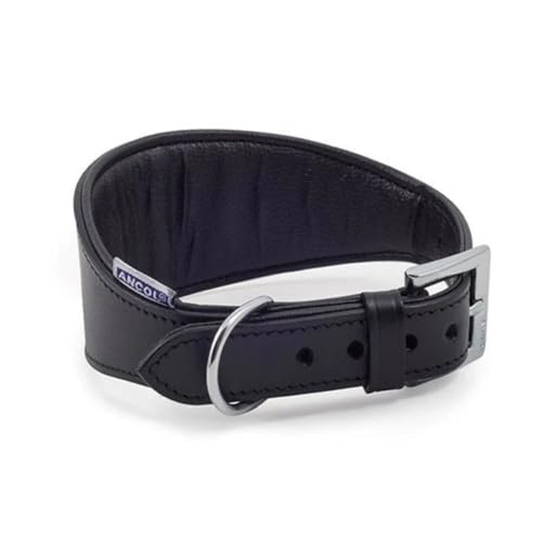 Ancol Windhund Halsband gepolstert Leder, 47 cm, schwarz von Ancol