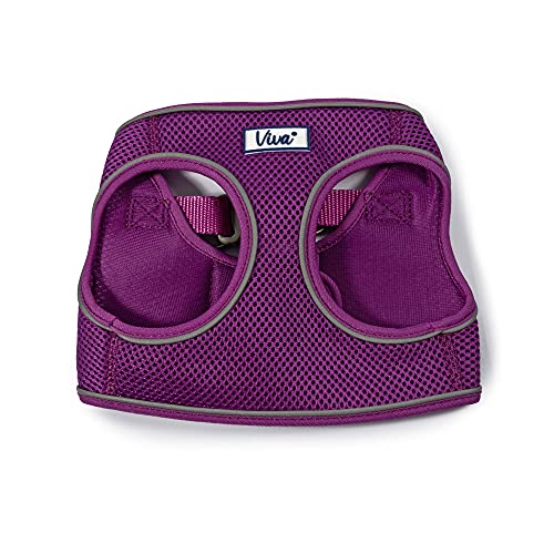 Ancol Viva Step in Comfort Hundegeschirr mit Air-Mesh-Gewebe – reflektierend, verstellbar, schnelle Passform, Haustier-Trainingszubehör, 30–36 cm, Größe XS Ancol Viva Step in Comfort Hundegeschirr mit Air-Mesh-Gewebe – reflektierend, verstellbar, schnelle Passform, Haustier-Trainingszubehör, 30–36 cm, Größe XS von Ancol