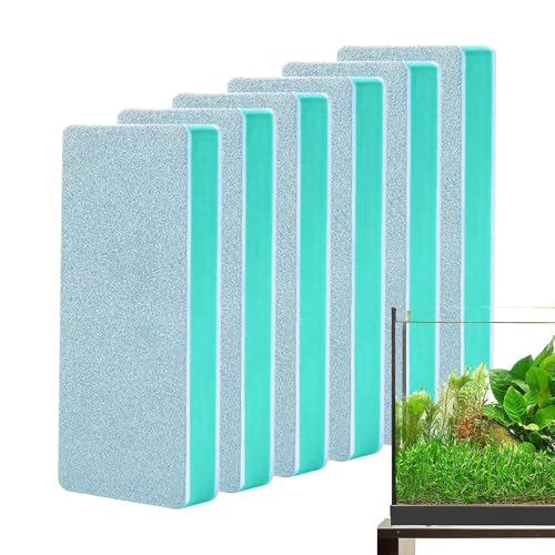 Ancsttu Aquarium Reinigungsbürste, 6 Stück Aquarium Reinigungswerkzeuge Fensterreinigungsbürste Fenster Glasreinigungswerkzeug Für Wohnzimmer Badezimmer Küche, 9x4x1.2cm Ancsttu Aquarium Reinigungsbürste, 6 Stück Aquarium Reinigungswerkzeuge Fensterreinigungsbürste Fenster Glasreinigungswerkzeug Für Wohnzimmer Badezimmer Küche, 9x4x1.2cm von Ancsttu