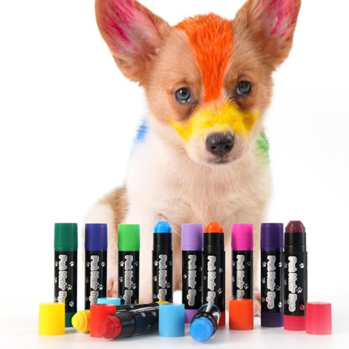 Ancsttu Hundefarbe - Haarfarbe Für Hunde & Tiere | Leuchtende Waschbare Farbe Für Fellpflege Bei Katzen, Pferden, Rindern & Festivals von Ancsttu