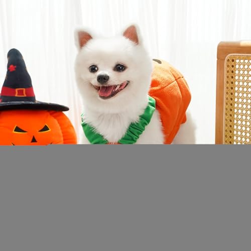 Ancsttu Hundekürbiskostüm - Kürbismütze für Welpen | Warmes Kostüm für Hunde Herbst Winter Halloween Festfotos von Ancsttu