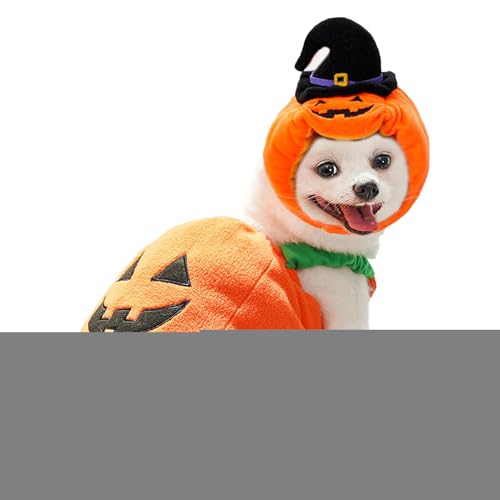 Ancsttu Hundekürbiskostüm | Welpe Cosplay Kürbis Hut - Warmes Kostüm für Hunde Herbst Winter Halloween Festfotos von Ancsttu