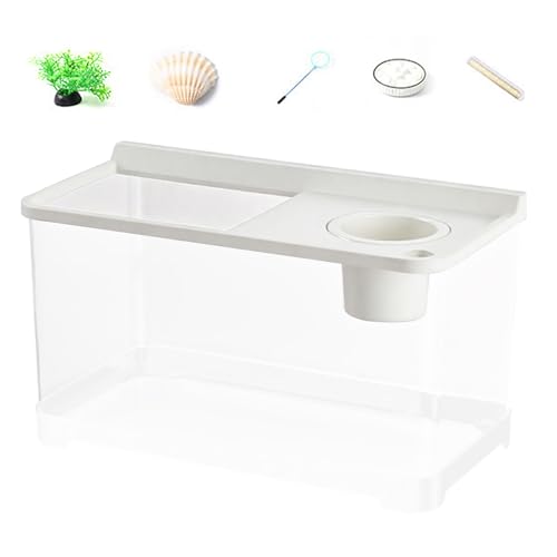 Ancsttu Kleines Aquarium Mit 3 Farben Beleuchtung,Haushalt Aquarium - Hydroponisches Tischaquarium Für Tischlandschaft Home Arbeitsplatz Eingangsbereich Schlafzimmer von Ancsttu
