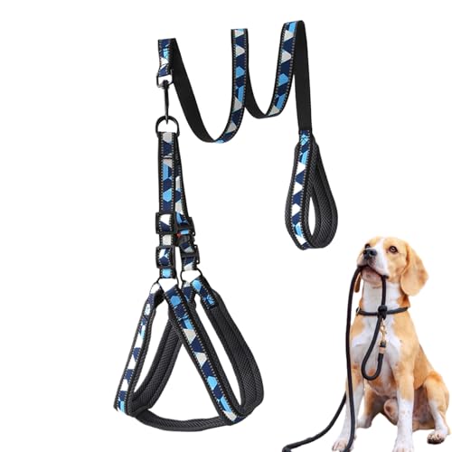 Ancsttu Welpen Geschirr Und Leine Set - Reflektierende Spaziergangsleine Für Welpen,Verstellbar Bequem rutschfest Geschirr für Spaziergänge Outdoor Mittelgroße Hunde Ancsttu Welpen Geschirr Und Leine Set - Reflektierende Spaziergangsleine Für Welpen,Verstellbar Bequem rutschfest Geschirr für Spaziergänge Outdoor Mittelgroße Hunde von Ancsttu