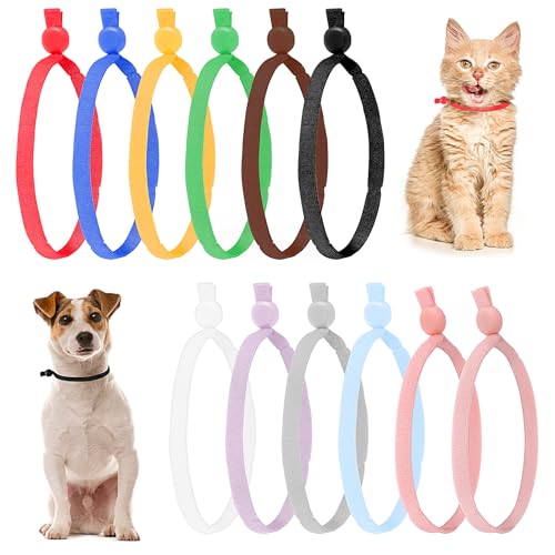 Andibro 60 Stück Kitten halsbänder,12 Farben Verstellbare Welpen ID Halsbänder Soft welpenhalsband 10.5 cm Bandschnur mit Verstellbarer Schnalle für Neugeborene Welpen Kätzchen Haustiere Andibro 60 Stück Kitten halsbänder,12 Farben Verstellbare Welpen ID Halsbänder Soft welpenhalsband 10.5 cm Bandschnur mit Verstellbarer Schnalle für Neugeborene Welpen Kätzchen Haustiere von Andibro