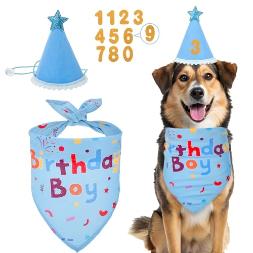 Andibro Hundegeburtstags-Dekoration, Blaue Geburtstags-Halstuch mit Zahlen & Geburtstagshut für Hunde – Zubehör für kleine, mittlere und große Hunde von Andibro