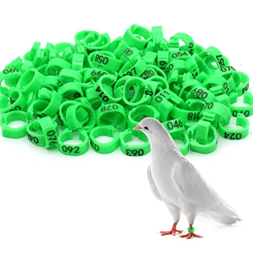 Andiker 100 Stück Pigeon Ringe, 8 mm Bird Leg mit Kunststoffringen, Identifikationsringe für Vögel, Papageien, Tauben, Wachteln und Jungvögel (Grün) von Andiker