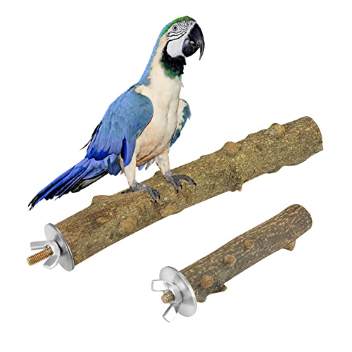 Andiker 2 Stück Vogelbarsche (20 cm + 20 cm) von Andiker