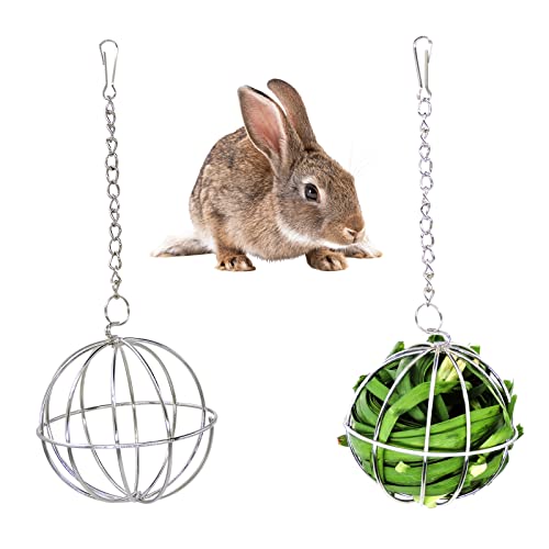 Andiker Heu-Futterball für Kaninchen, 2 Packungen, 9 cm Edelstahl, multifunktional, rotierender Grasball für kleine Tiere wie Kaninchen, Chinchillas und Meerschweinchen für Heumanagement von Andiker