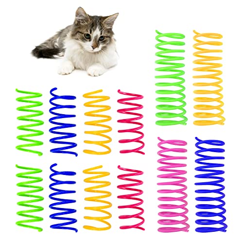 Andiker Katzenspielzeug für Indoor-Katzen, 4 große Katzenfedern und 8 kleine Federn, interaktives Spielzeug zum Swatten, Beißen, Jagdkatze, kreatives Spielzeug, fit zu halten, Kunststofffede(12 Stück) Andiker Katzenspielzeug für Indoor-Katzen, 4 große Katzenfedern und 8 kleine Federn, interaktives Spielzeug zum Swatten, Beißen, Jagdkatze, kreatives Spielzeug, fit zu halten, Kunststofffede(12 Stück) von Andiker