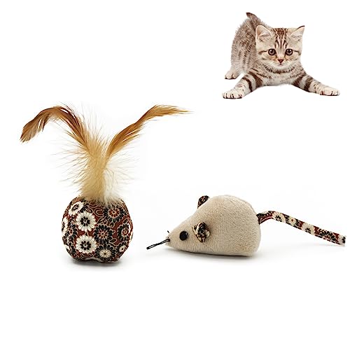 Andiker Katzenspielzeug mit Feder, 2 Stück Plüsch-Katzenminze-Spielzeug für Katzen zum Beißen, Drachen, Kauen, um Stress abzubauen und Zeit zu töten, 2 Stück Andiker Katzenspielzeug mit Feder, 2 Stück Plüsch-Katzenminze-Spielzeug für Katzen zum Beißen, Drachen, Kauen, um Stress abzubauen und Zeit zu töten, 2 Stück von Andiker